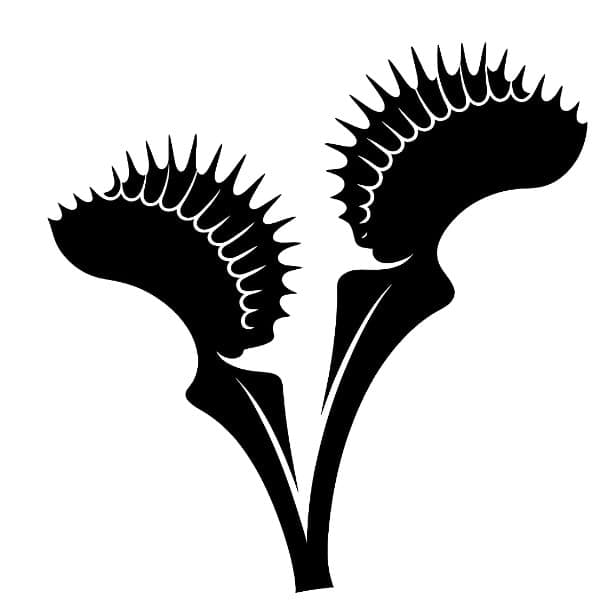 Anagenesis AI